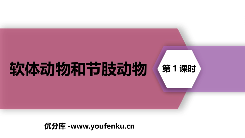 《软体动物和节肢动物》PPT(第1课时)PPT课件_第1页