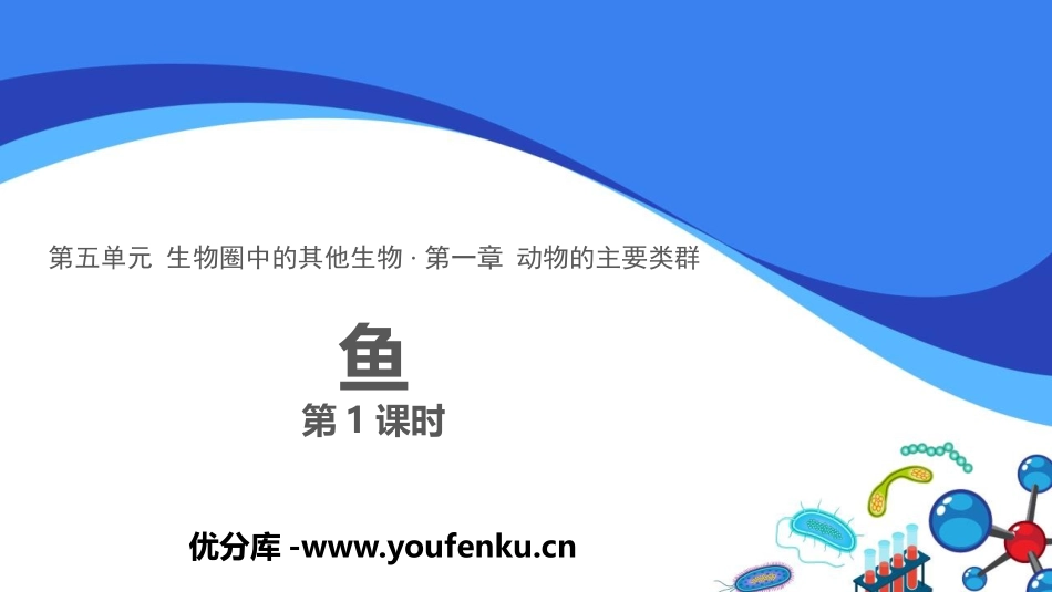 《鱼》PPT课件(第1课时)[人教版八年级生物上册]_第1页