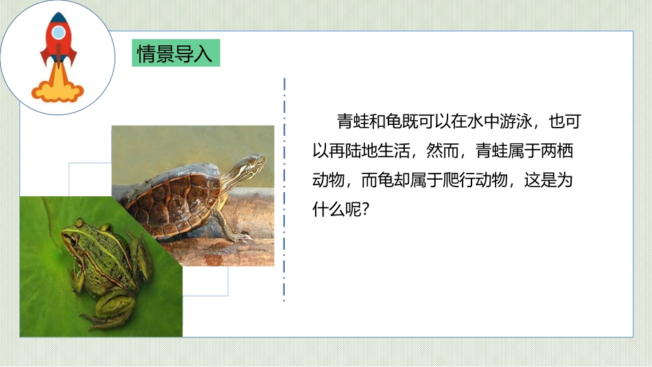《两栖动物和爬行动物》PPT课件[人教版八年级生物上册]_第2页
