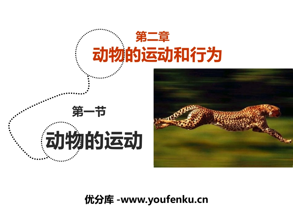 《动物的运动》PPT课件[人教版八年级生物上册]_第1页