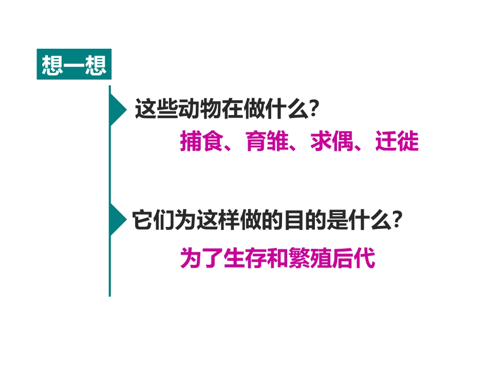 《动物的运动》PPT课件[人教版八年级生物上册]_第2页
