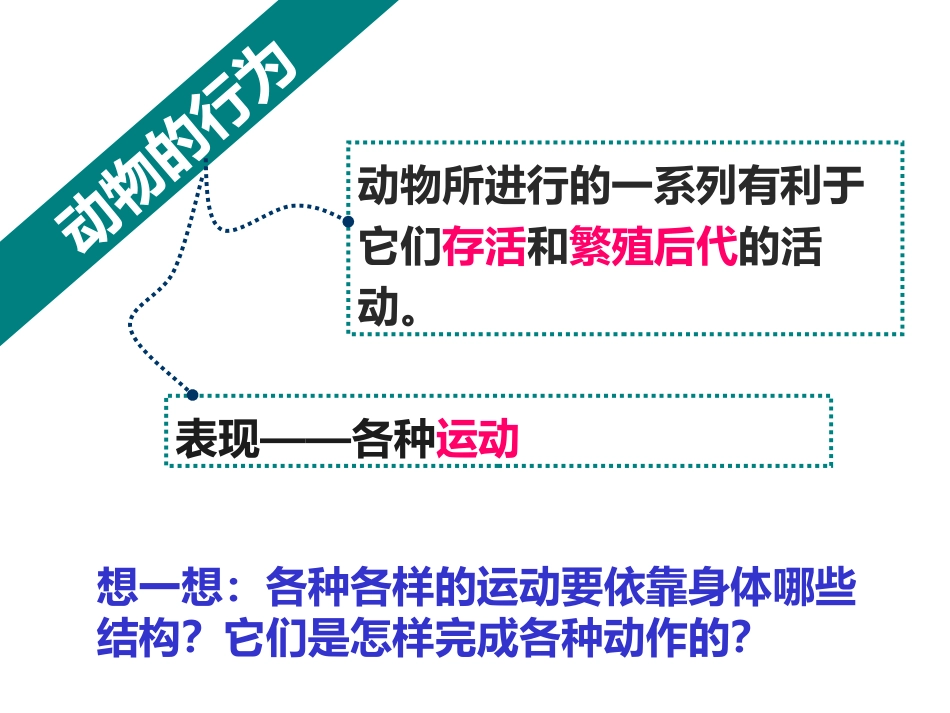 《动物的运动》PPT课件[人教版八年级生物上册]_第3页