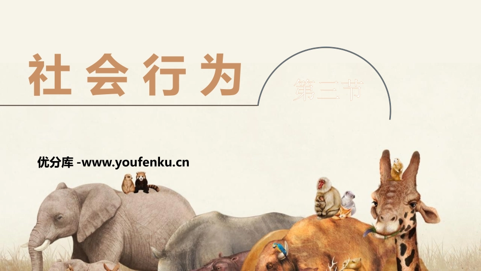 《社会行为》PPT教学课件[人教版八年级生物上册]_第1页