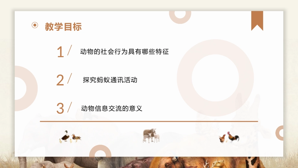 《社会行为》PPT教学课件[人教版八年级生物上册]_第2页