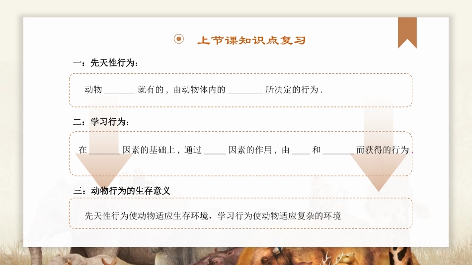 《社会行为》PPT教学课件[人教版八年级生物上册]_第3页