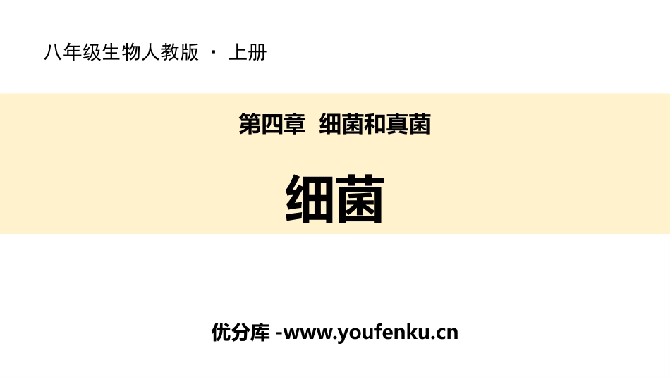《细菌》PPT教学课件[人教版八年级生物上册]_第1页
