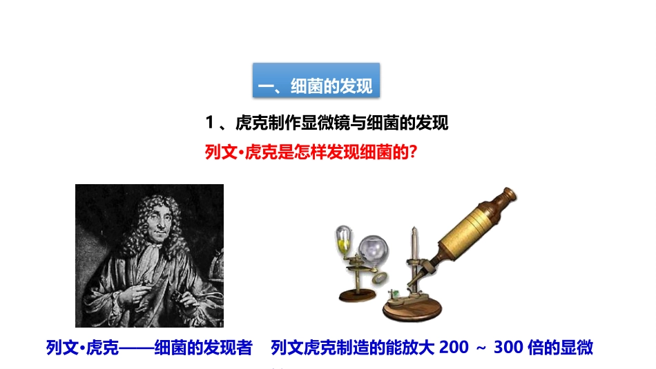 《细菌》PPT教学课件[人教版八年级生物上册]_第3页