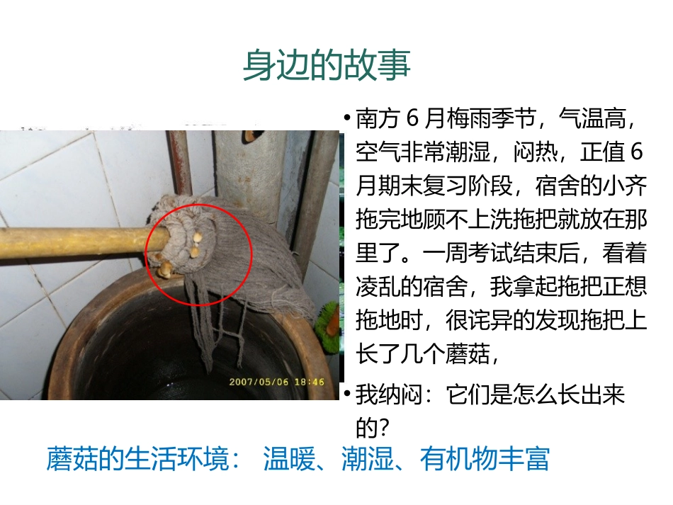 《真菌》PPT课件[人教版八年级生物上册]_第2页