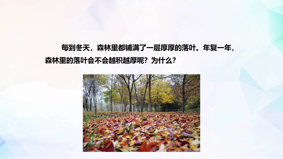 《细菌和真菌在自然界中的作用》PPT课件[人教版八年级生物]_第2页