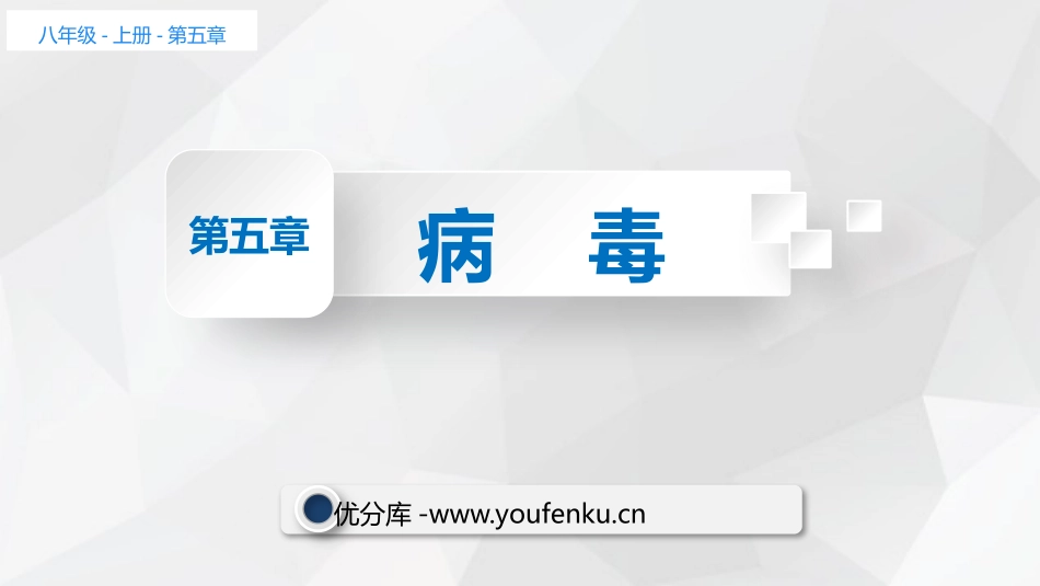 《病毒》PPT免费课件[人教版八年级生物上册]_第1页