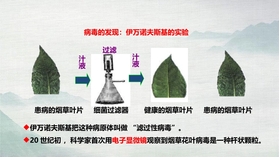 《病毒》PPT优质课件[人教版八年级生物上册]_第2页