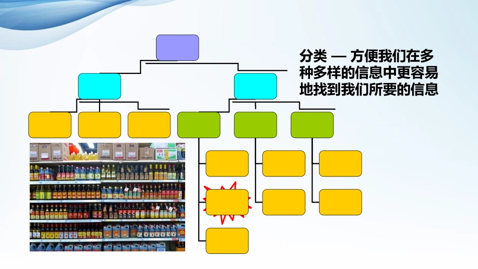 《尝试对生物进行分类》PPT课件[人教版八年级生物上册]_第2页