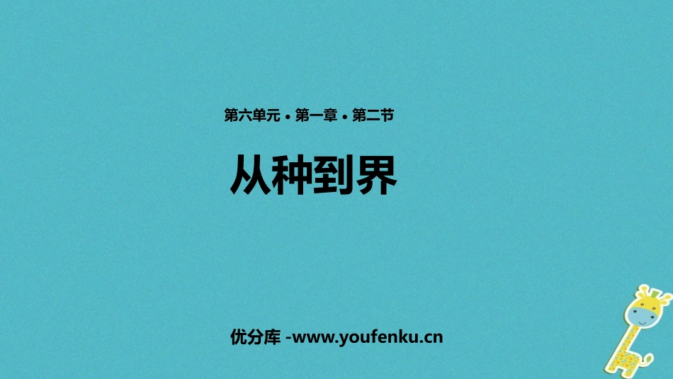 《从种到界》PPT教学课件[人教版八年级生物上册]_第1页