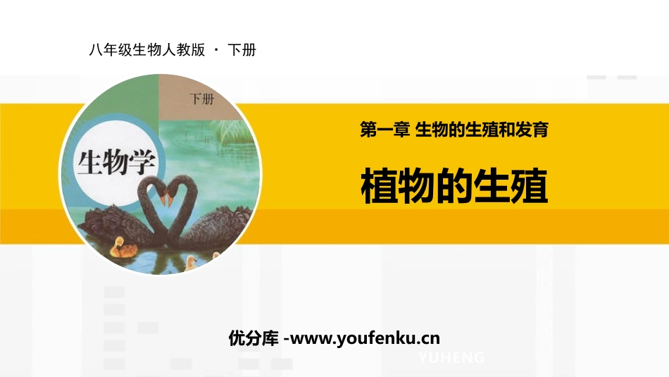 《植物的生殖》PPT课件[人教版八年级生物下册]_第1页