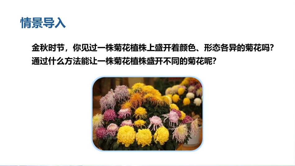 《植物的生殖》PPT免费课件[人教版八年级生物下册]_第1页