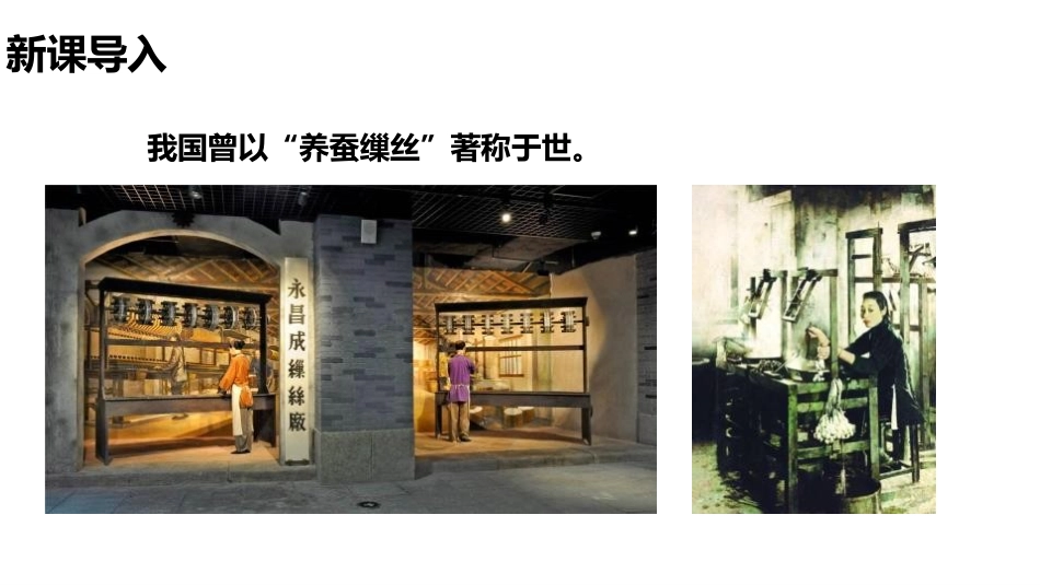 《昆虫的生殖和发育》PPT课件[人教版八年级生物下册]_第2页