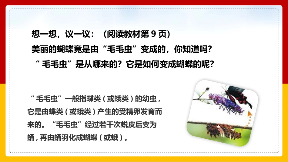 《昆虫的生殖和发育》PPT免费课件[人教版八年级生物下册]_第3页