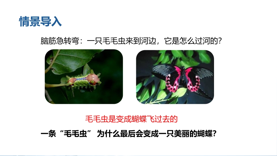 《昆虫的生殖和发育》PPT优质课件[人教版八年级生物下册]_第2页
