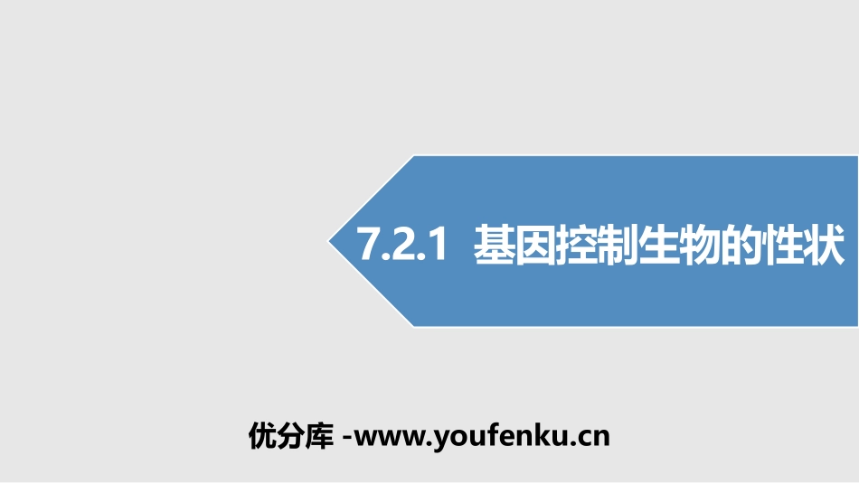 《基因控制生物的性状》PPT教学课件[人教版八年级生物下册]_第1页