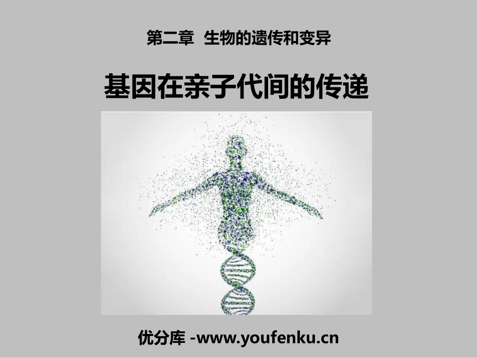 《基因在亲子代间的传递》PPT教学课件[人教版八年级生物]_第1页