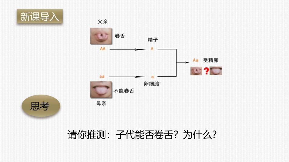 《基因的显性和隐性》PPT课件[人教版八年级生物下册]_第2页
