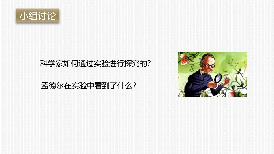 《基因的显性和隐性》PPT课件[人教版八年级生物下册]_第3页