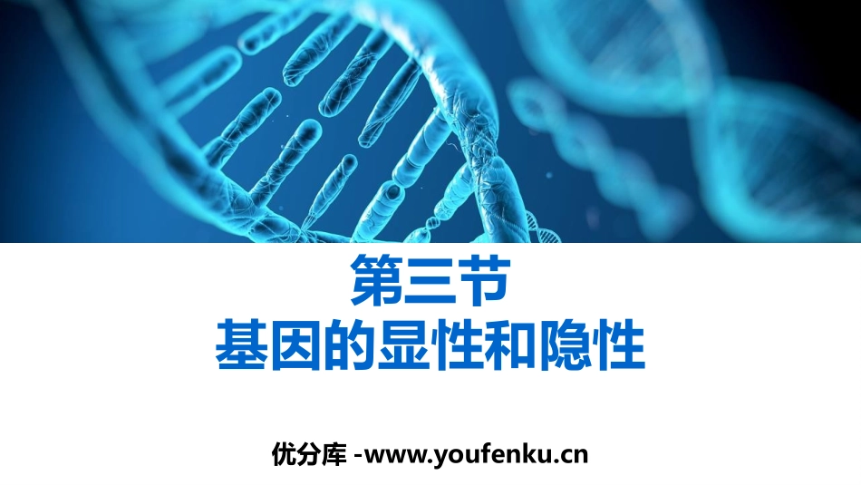 《基因的显性和隐性》PPT优质课件[人教版八年级生物下册]_第1页