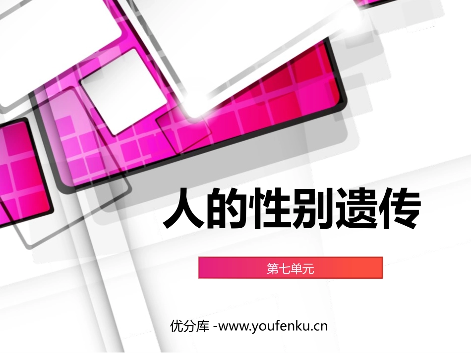 《人的性别遗传》PPT教学课件[人教版八年级生物下册]_第1页