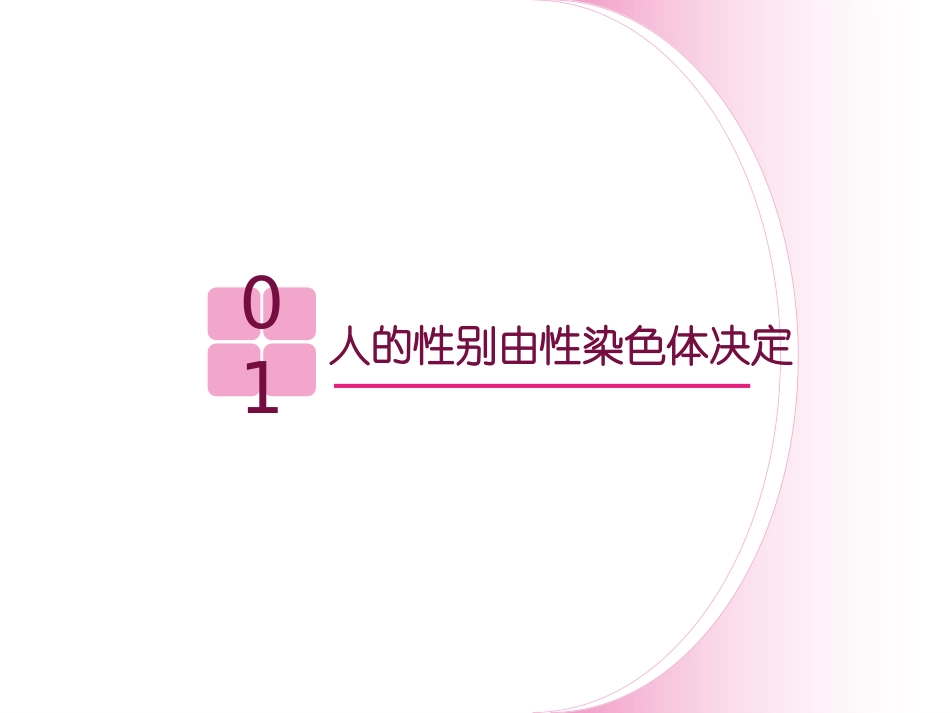 《人的性别遗传》PPT教学课件[人教版八年级生物下册]_第3页