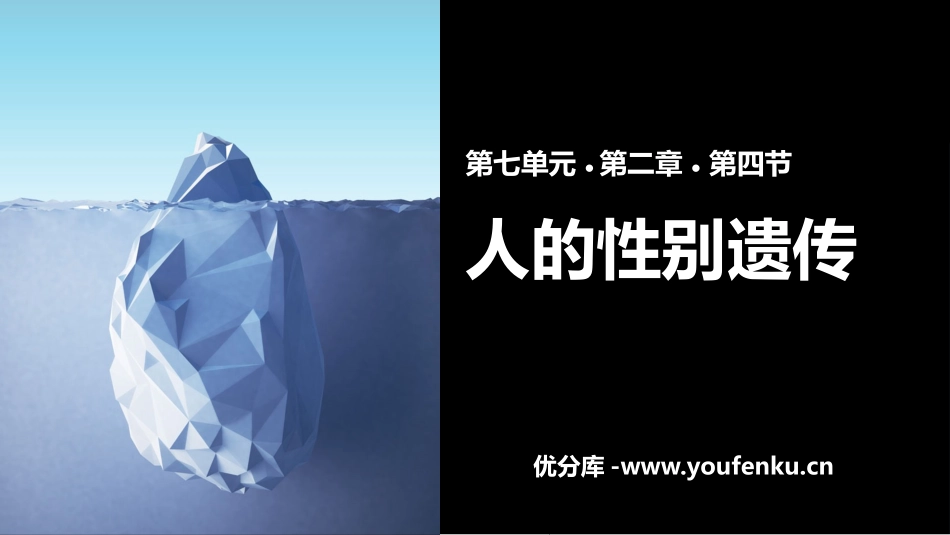 《人的性别遗传》PPT优质课件[人教版八年级生物下册]_第1页