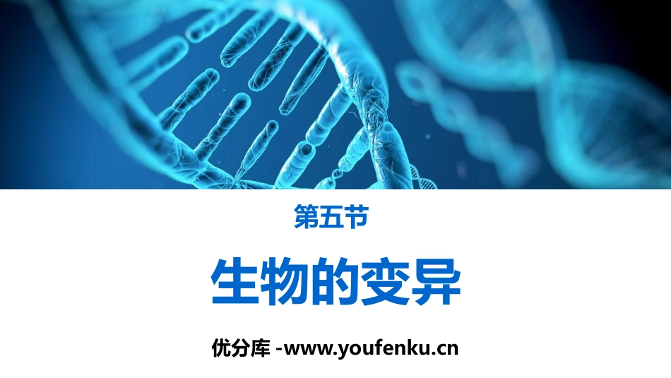 《生物的变异》PPT教学课件[人教版八年级生物下册]_第1页