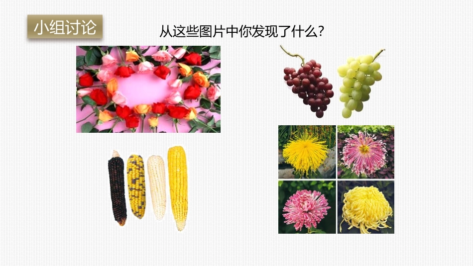 《生物的变异》PPT课件[人教版八年级生物下册]_第2页