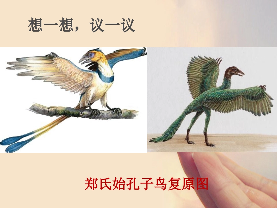 《生物进化的历程》PPT课件[人教版八年级生物下册]_第3页