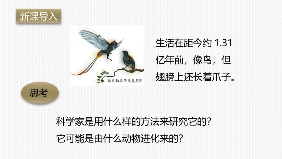 《生物进化的历程》PPT免费课件[人教版八年级生物下册]_第2页