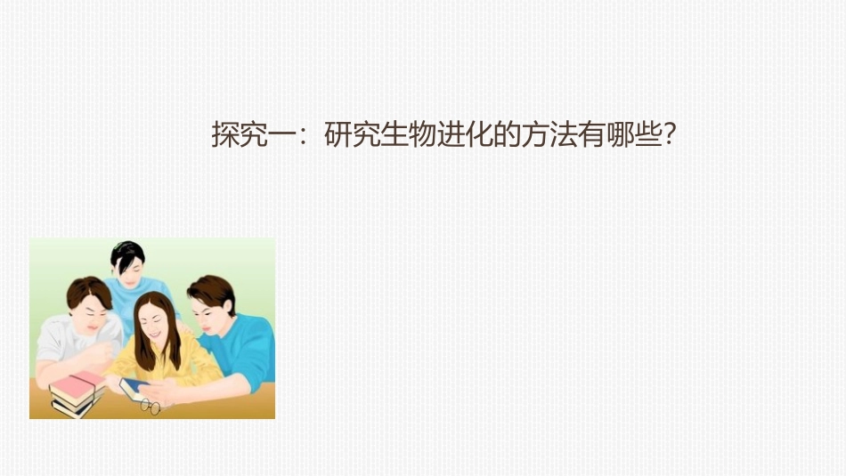 《生物进化的历程》PPT免费课件[人教版八年级生物下册]_第3页