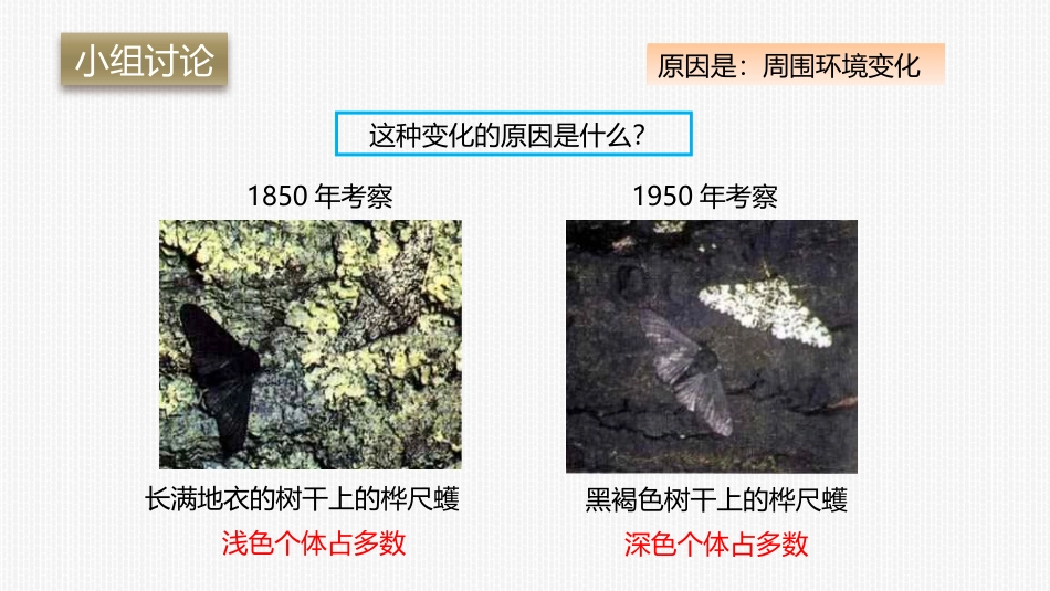 《生物进化的原因》PPT教学课件[人教版八年级生物下册]_第3页