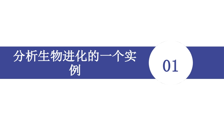 《生物进化的原因》PPT课件[人教版八年级生物下册]_第2页