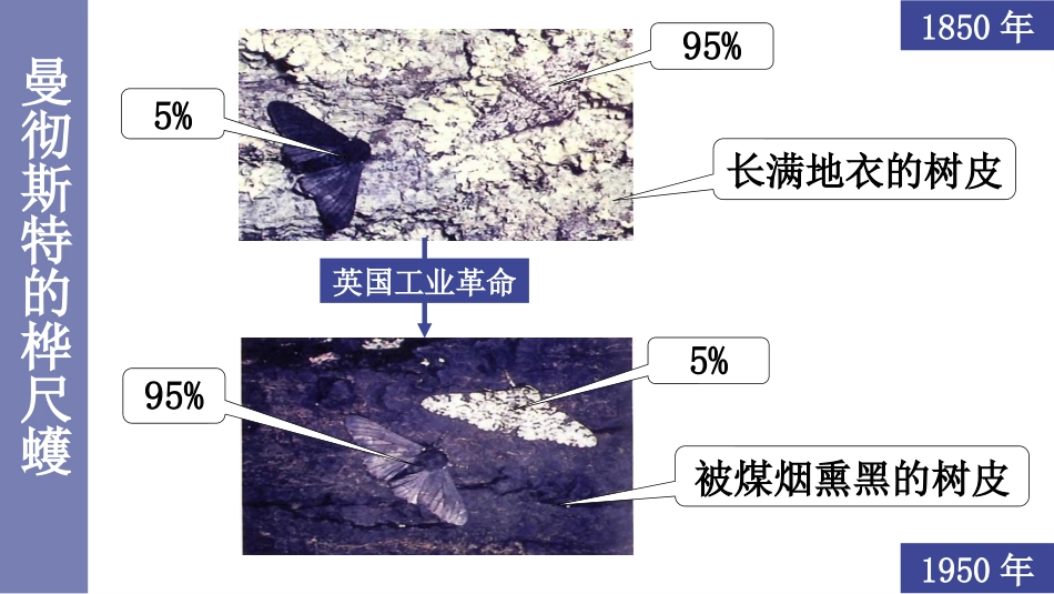 《生物进化的原因》PPT课件[人教版八年级生物下册]_第3页
