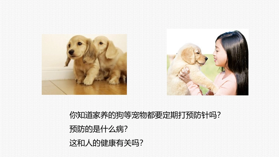 《免疫与计划免疫》PPT教学课件[人教版八年级生物下册]_第1页