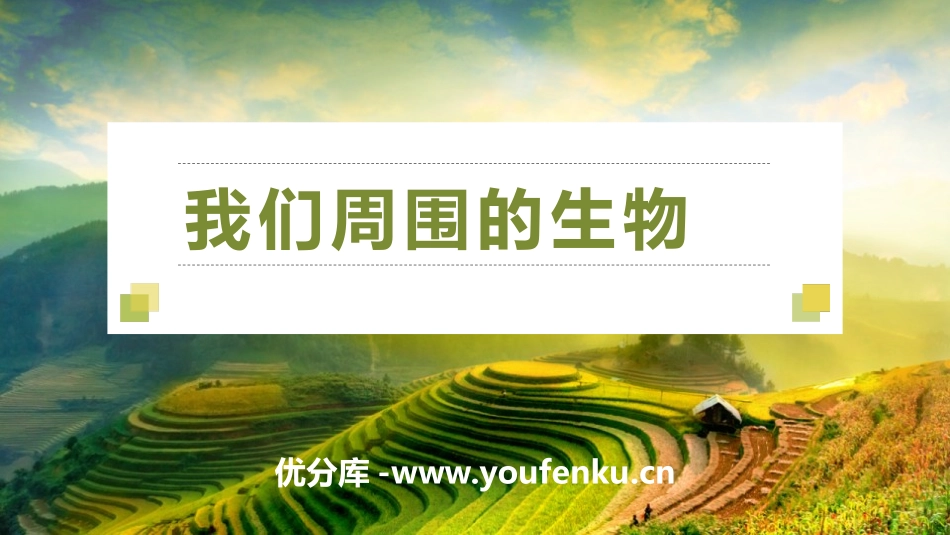 《我们周围的生物》PPT课件[苏教版七年级生物上册]_第1页