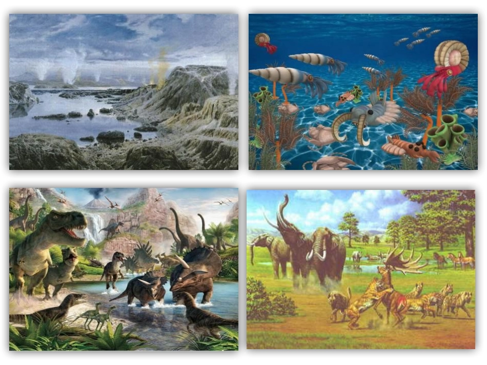 《我们周围的生物》PPT课件[苏教版七年级生物上册]_第2页