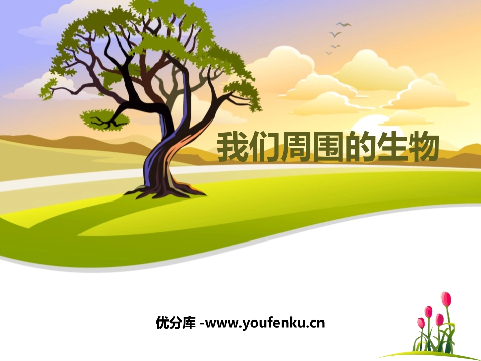 《我们周围的生物》PPT优质课件[苏教版七年级生物上册]_第1页