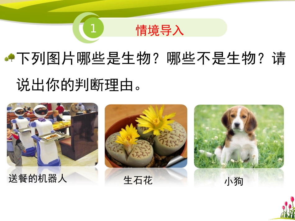 《我们周围的生物》PPT优质课件[苏教版七年级生物上册]_第2页
