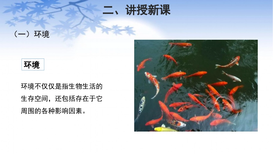 《生物与环境的关系》PPT精品课件[苏教版七年级生物上册]_第3页