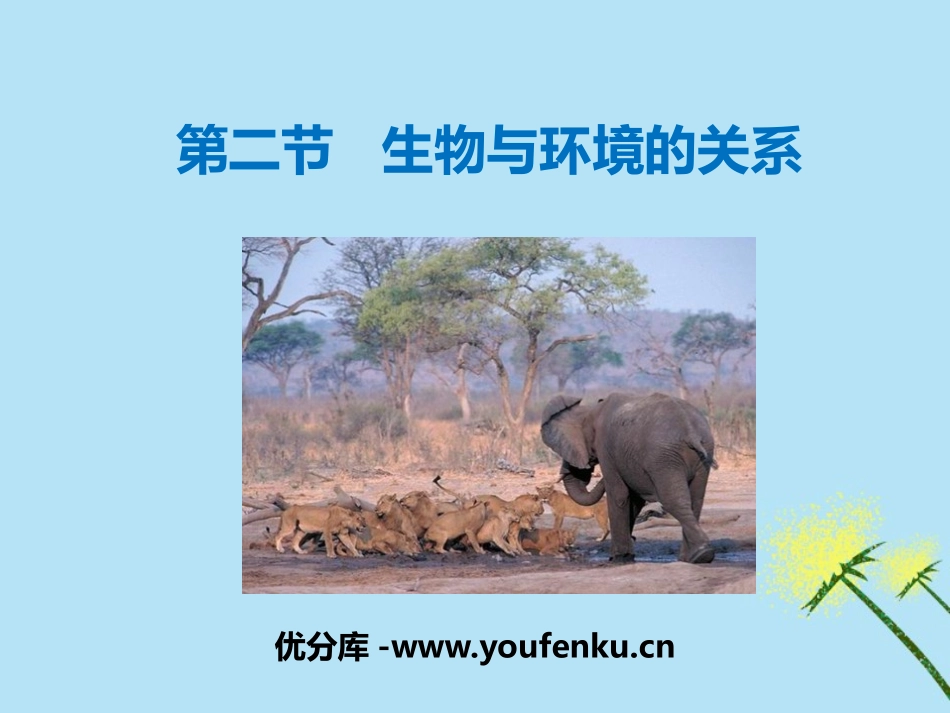 《生物与环境的关系》PPT优质课件[苏教版七年级生物上册]_第1页