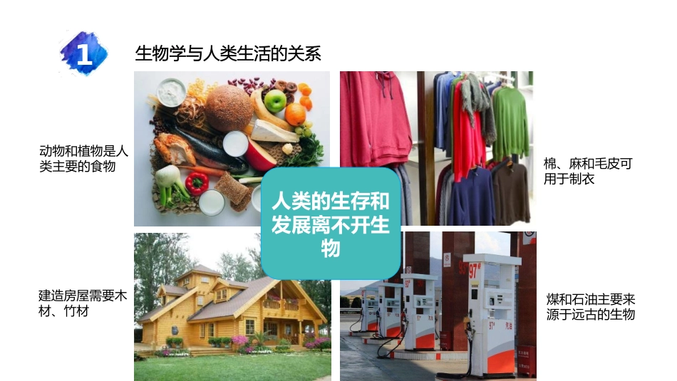 《我们身边的生物学》PPT教学课件[苏教版七年级生物上册]_第3页