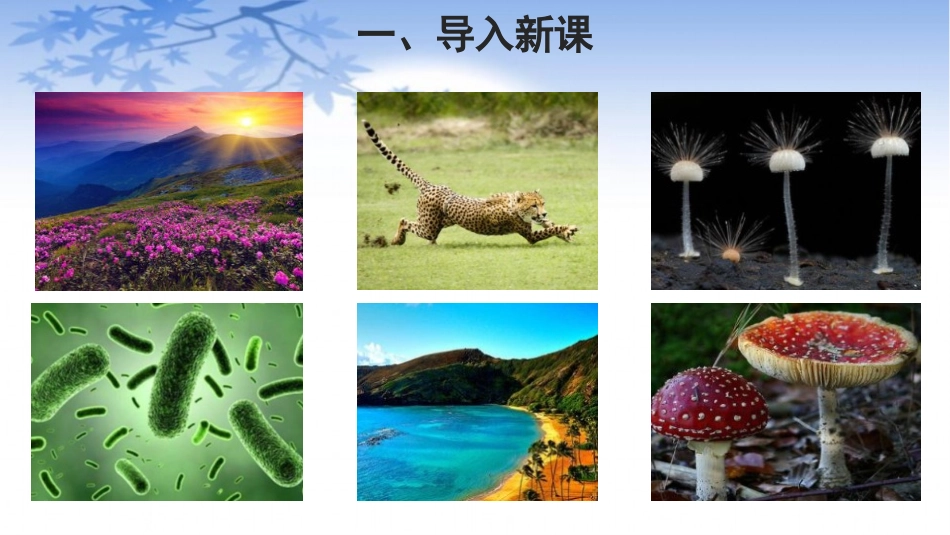 《探索生命的器具》PPT教学课件[苏教版七年级生物上册]_第2页