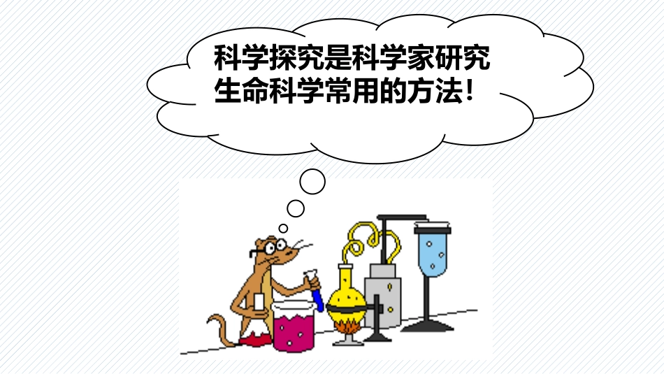《探索生命的方法》PPT课件[苏教版七年级生物上册]_第3页