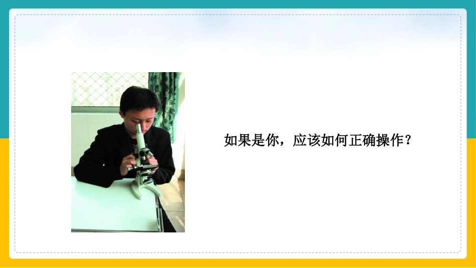 《探索生命的方法》PPT教学课件[苏教版七年级生物上册]_第2页