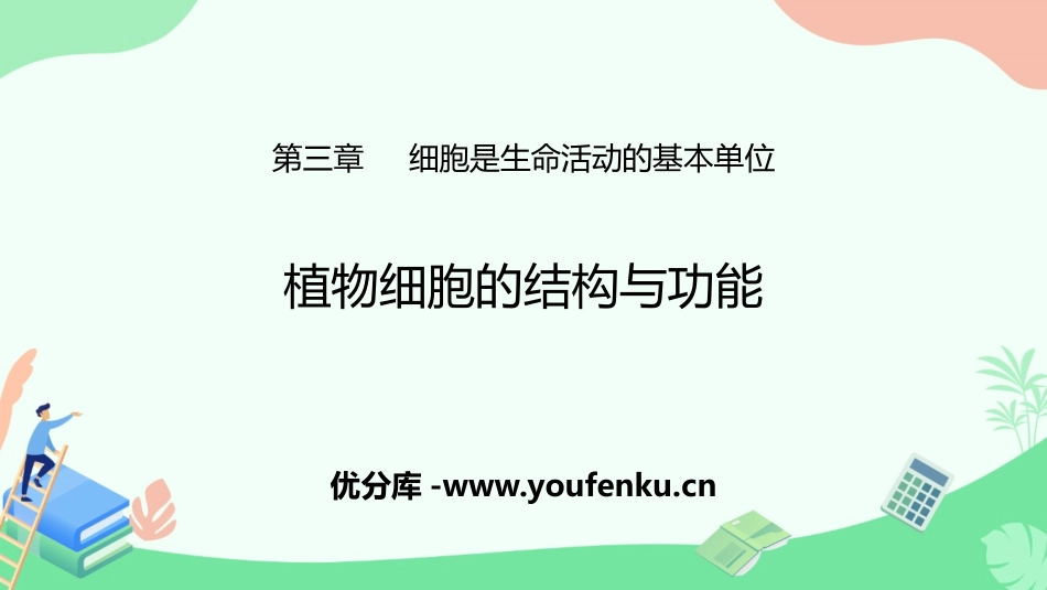 《植物细胞结构和功能》PPT教学课件[苏教版七年级生物上册]_第1页